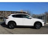 Mazda CX 5 bei Gebrauchtwagen.expert - Abbildung (8 / 15)