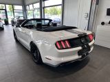 Ford Mustang bei Gebrauchtwagen.expert - Abbildung (11 / 15)