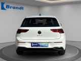 VW Golf VIII bei Gebrauchtwagen.expert - Abbildung (5 / 15)