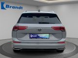 VW Golf VIII bei Gebrauchtwagen.expert - Abbildung (6 / 15)