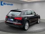 Audi Q5 bei Gebrauchtwagen.expert - Abbildung (3 / 15) Audi Q5 bei Gebrauchtwagen.expert - Abbildung (3 / 15)