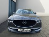 Mazda CX 5 bei Gebrauchtwagen.expert - Abbildung (14 / 15)