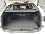 Skoda Octavia bei Gebrauchtwagen.expert - Abbildung (9 / 15) Skoda Octavia bei Gebrauchtwagen.expert - Abbildung (9 / 15)