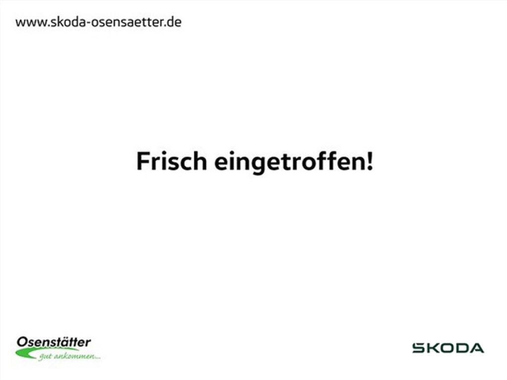 Skoda Octavia bei Gebrauchtwagen.expert - Hauptabbildung Skoda Octavia bei Gebrauchtwagen.expert - Hauptabbildung