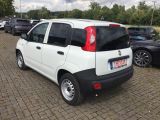 Fiat Panda bei Gebrauchtwagen.expert - Abbildung (4 / 10)