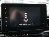 Renault Trafic bei Gebrauchtwagen.expert - Abbildung (14 / 15)