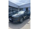 Ford Mustang Mach-E bei Gebrauchtwagen.expert - Abbildung (2 / 15)