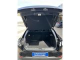 Ford Mustang Mach-E bei Gebrauchtwagen.expert - Abbildung (14 / 15)