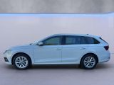 Skoda Octavia bei Gebrauchtwagen.expert - Abbildung (2 / 15) Skoda Octavia bei Gebrauchtwagen.expert - Abbildung (2 / 15)