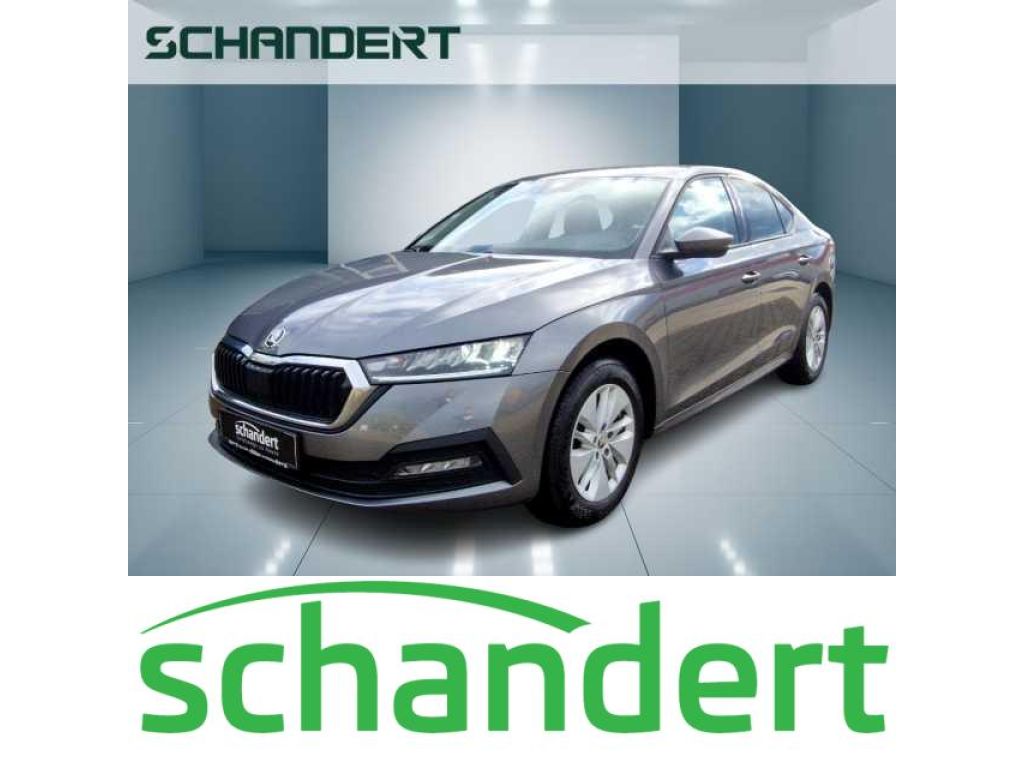 Skoda Octavia bei Gebrauchtwagen.expert - Hauptabbildung Skoda Octavia bei Gebrauchtwagen.expert - Hauptabbildung