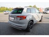 Skoda Karoq bei Gebrauchtwagen.expert - Abbildung (5 / 15)