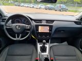 Skoda Octavia bei Gebrauchtwagen.expert - Abbildung (13 / 15)
