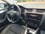 Skoda Octavia bei Gebrauchtwagen.expert - Abbildung (14 / 15)
