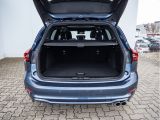Ford Focus ST bei Gebrauchtwagen.expert - Abbildung (6 / 15) Ford Focus ST bei Gebrauchtwagen.expert - Abbildung (6 / 15)
