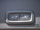 Volvo XC40 bei Gebrauchtwagen.expert - Abbildung (9 / 15)