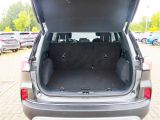 Ford Kuga bei Gebrauchtwagen.expert - Abbildung (6 / 15)