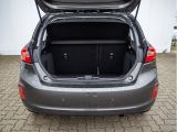 Ford Fiesta bei Gebrauchtwagen.expert - Abbildung (6 / 15)