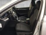 Skoda Octavia bei Gebrauchtwagen.expert - Abbildung (7 / 15)