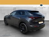 Mazda CX-30 bei Gebrauchtwagen.expert - Abbildung (4 / 15)
