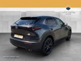 Mazda CX-30 bei Gebrauchtwagen.expert - Abbildung (6 / 15)