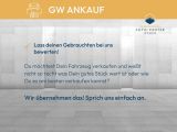 Skoda Octavia bei Gebrauchtwagen.expert - Abbildung (6 / 7)