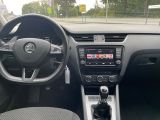 Skoda Octavia bei Gebrauchtwagen.expert - Abbildung (12 / 14)