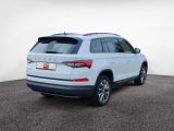 Skoda Kodiaq bei Gebrauchtwagen.expert - Abbildung (6 / 15)