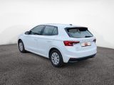Skoda Fabia bei Gebrauchtwagen.expert - Abbildung (5 / 15)