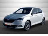 Skoda Fabia bei Gebrauchtwagen.expert - Abbildung (2 / 13)