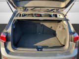 VW Golf VIII bei Gebrauchtwagen.expert - Abbildung (7 / 15)