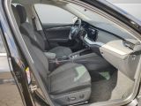 Skoda Octavia bei Gebrauchtwagen.expert - Abbildung (12 / 13)