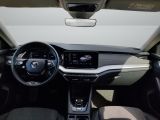 Skoda Octavia bei Gebrauchtwagen.expert - Abbildung (8 / 13)