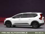 Dacia Jogger bei Gebrauchtwagen.expert - Abbildung (10 / 15)