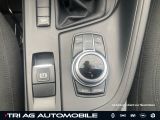 BMW X1 bei Gebrauchtwagen.expert - Abbildung (11 / 15)