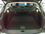 Ford Focus Turnier bei Gebrauchtwagen.expert - Abbildung (10 / 15) Ford Focus Turnier bei Gebrauchtwagen.expert - Abbildung (10 / 15)
