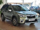 Subaru Forester bei Gebrauchtwagen.expert - Abbildung (3 / 5)