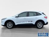 Ford Kuga bei Gebrauchtwagen.expert - Abbildung (2 / 14)