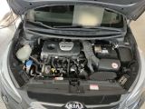 Kia Pro Ceed bei Gebrauchtwagen.expert - Abbildung (14 / 15)