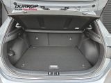 Kia Ceed bei Gebrauchtwagen.expert - Abbildung (3 / 4)