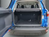 Ford EcoSport bei Gebrauchtwagen.expert - Abbildung (5 / 15)