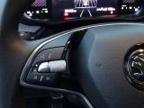 Skoda Fabia bei Gebrauchtwagen.expert - Abbildung (15 / 15)