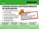 Skoda Kodiaq bei Gebrauchtwagen.expert - Abbildung (3 / 15)