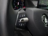 Skoda Octavia bei Gebrauchtwagen.expert - Abbildung (13 / 15)