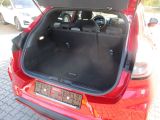 Ford Puma bei Gebrauchtwagen.expert - Abbildung (5 / 14) Ford Puma bei Gebrauchtwagen.expert - Abbildung (5 / 14)