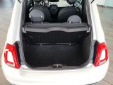 Fiat 500 bei Gebrauchtwagen.expert - Abbildung (14 / 15)