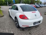 VW Beetle bei Gebrauchtwagen.expert - Abbildung (5 / 15)