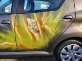 Toyota Aygo bei Gebrauchtwagen.expert - Abbildung (7 / 15)