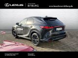 Lexus RX bei Gebrauchtwagen.expert - Abbildung (3 / 15)