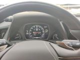 Lexus LS bei Gebrauchtwagen.expert - Abbildung (11 / 15)