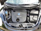 VW New Beetle bei Gebrauchtwagen.expert - Abbildung (14 / 14)